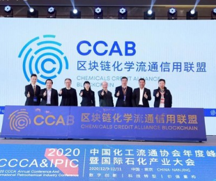 2020 CCCA&IPICЇͨf(xi)ȷ߇Hʯa(chn)I(y)AM